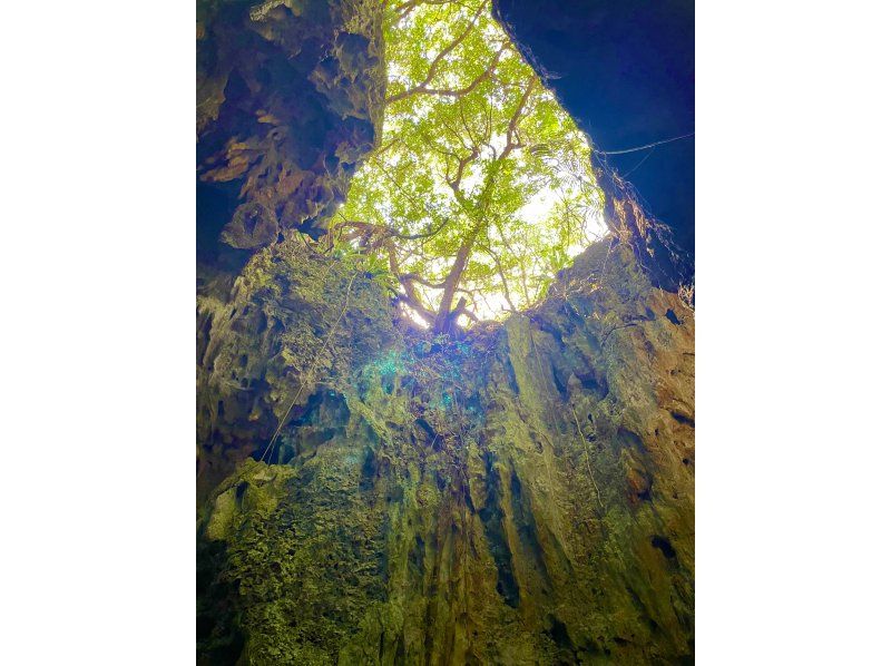 【沖縄・宮古島】宮古、静寂の奥へ！地の鼓動を感じて心が躍る地の大冒険の始まり！専属ガイドが、あなたのペースで案内する地の宮古アドベンチャー。の紹介画像