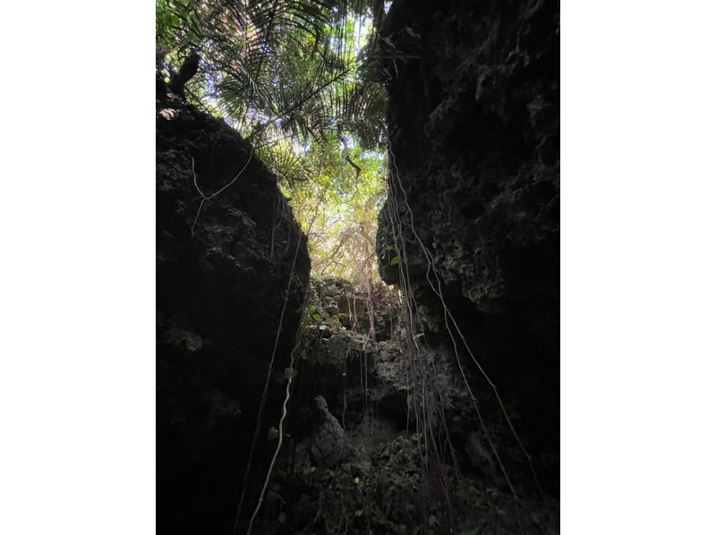 【沖縄・宮古島】宮古、静寂の奥へ！地の鼓動を感じて心が躍る地の大冒険の始まり！専属ガイドが、あなたのペースで案内する地の宮古アドベンチャー。の紹介画像