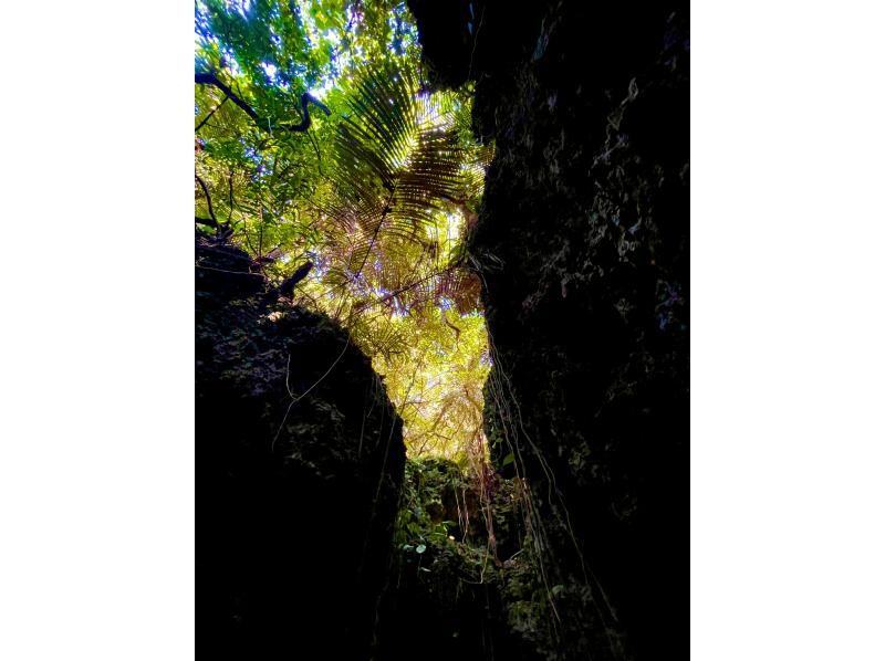 【沖縄・宮古島】宮古、静寂の奥へ！地の鼓動を感じて心が躍る地の大冒険の始まり！専属ガイドが、あなたのペースで案内する地の宮古アドベンチャー。の紹介画像