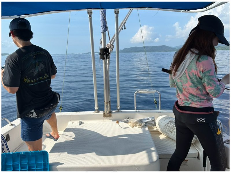 [Ishigaki Island - Fully Private] Beginners, families, and couples are all welcome! Easy and super fun boat activity! Half-day live bait fishing tour [AM/PM / 2 trips per day]の紹介画像