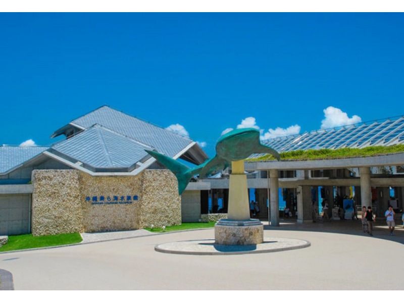 Okinawa Minna Island [Boat Snorkeling + Churaumi Aquarium Ticket + Minna Island Short Landing ◆ Winter Only] Half-Day Tour ◆ Small Groups ◆ Free Photo Downloads Includedの紹介画像