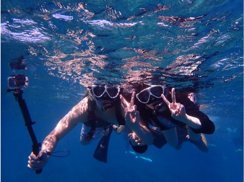 Okinawa Minna Island [Boat Snorkeling + Churaumi Aquarium Ticket + Minna Island Short Landing ◆ Winter Only] Half-Day Tour ◆ Small Groups ◆ Free Photo Downloads Includedの紹介画像