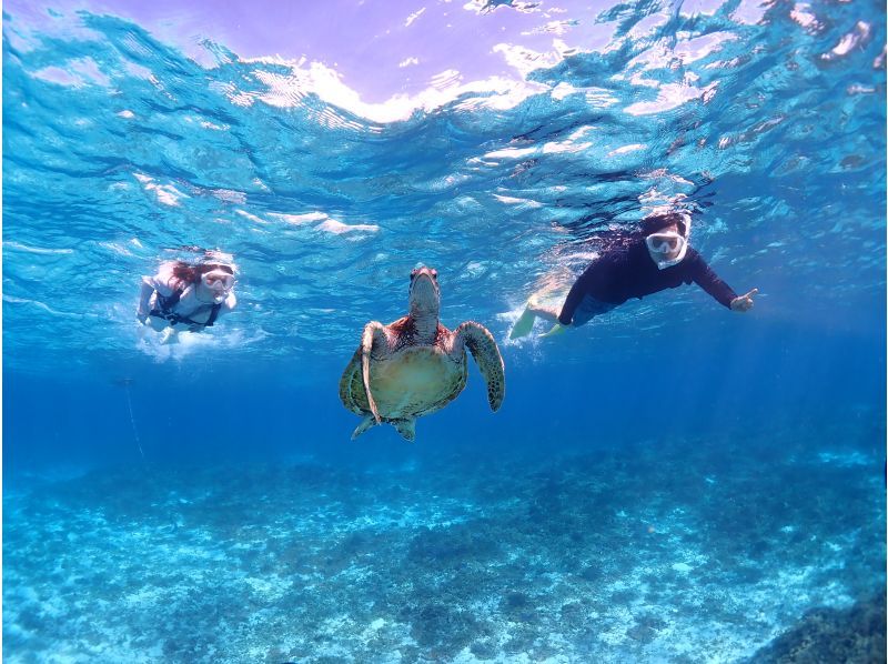 Miyakojima / {Even on the day you leave!} [Sea turtle snorkeling] ★Free photo data★Shower and hair dryer provided★10 minutes to Miyako Airport!の紹介画像