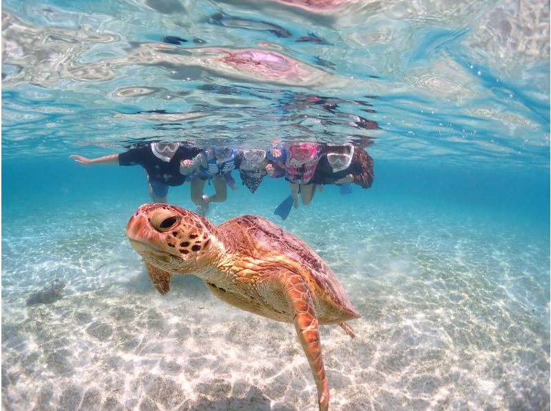 Miyakojima / {Even on the day you leave!} [Sea turtle snorkeling] ★Free photo data★Shower and hair dryer provided★10 minutes to Miyako Airport!の紹介画像