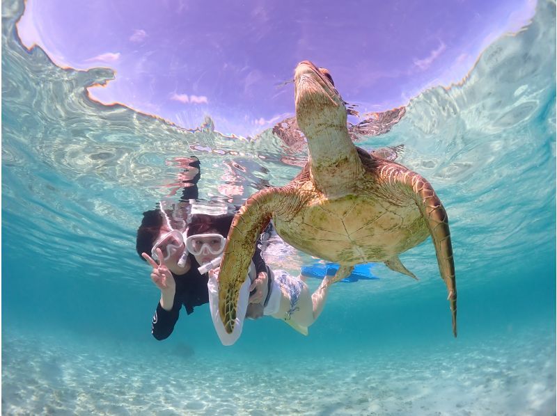 Miyakojima / {Even on the day you leave!} [Sea turtle snorkeling] ★Free photo data★Shower and hair dryer provided★10 minutes to Miyako Airport!の紹介画像