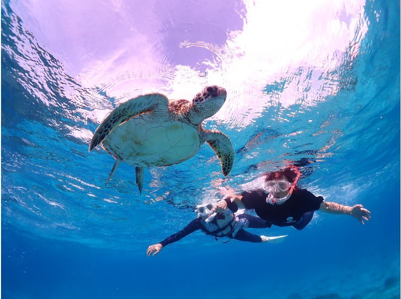 Miyakojima / {Even on the day you leave!} [Sea turtle snorkeling] ★Free photo data★Shower and hair dryer provided★10 minutes to Miyako Airport!の紹介画像
