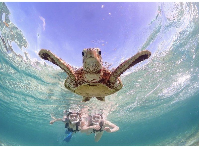 Miyakojima / {Even on the day you leave!} [Sea turtle snorkeling] ★Free photo data★Shower and hair dryer provided★10 minutes to Miyako Airport!の紹介画像