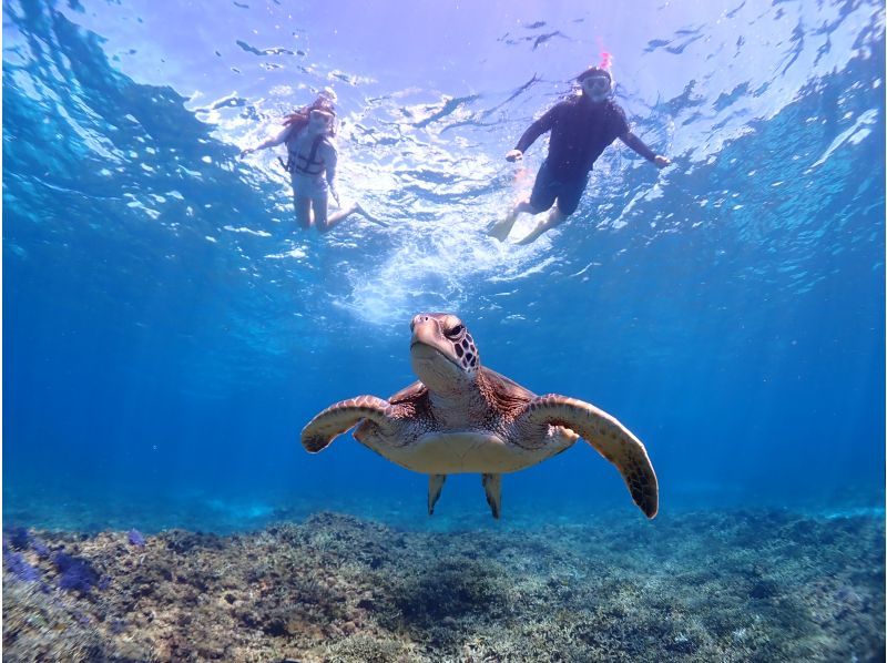 Miyakojima / {Even on the day you leave!} [Sea turtle snorkeling] ★Free photo data★Shower and hair dryer provided★10 minutes to Miyako Airport!の紹介画像