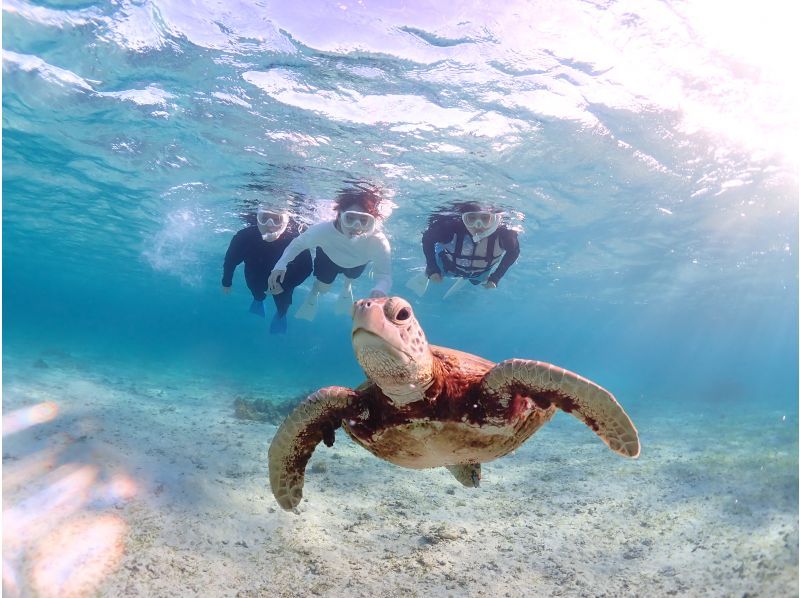 Miyakojima / {Even on the day you leave!} [Sea turtle snorkeling] ★Free photo data★Shower and hair dryer provided★10 minutes to Miyako Airport!の紹介画像
