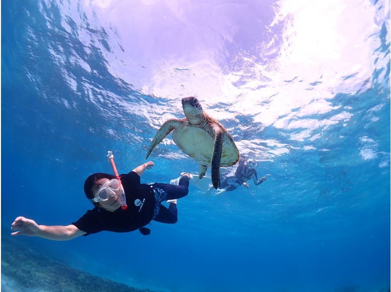 Miyakojima / {Even on the day you leave!} [Sea turtle snorkeling] ★Free photo data★Shower and hair dryer provided★10 minutes to Miyako Airport!の紹介画像