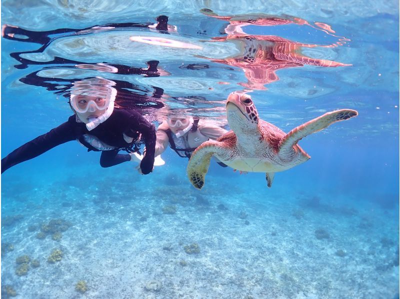 Miyakojima / {Even on the day you leave!} [Sea turtle snorkeling] ★Free photo data★Shower and hair dryer provided★10 minutes to Miyako Airport!の紹介画像