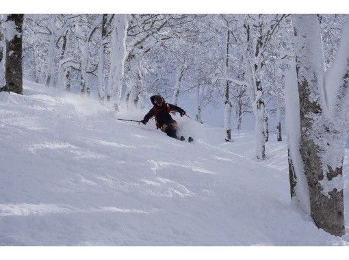 【秋田】バックカントリー〈ベーシックツアー〉 【秋田】バックカントリー〈ベーシックツアー〉