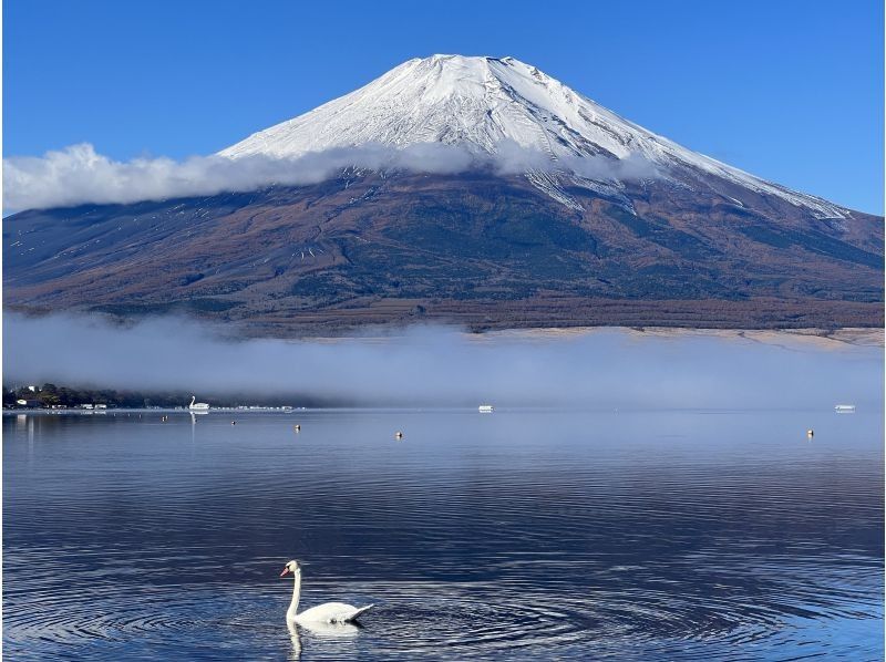 【山梨县・山中湖～忍野八海】日本首位骑行者！和今中大辅一起骑行！秋季山中湖・忍野八海集体骑行【初学者也欢迎！】の紹介画像