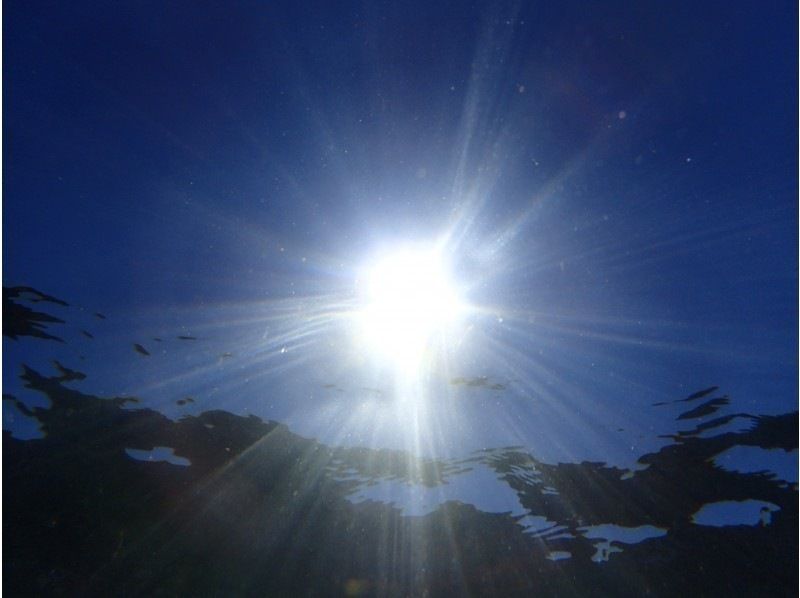 [Shizuoka, Numazu, Nishiizu, Osezaki] Beginners welcome! Experience diving. Enjoy diving in the Izu sea where many fish live. Copy underwater photo data.の紹介画像