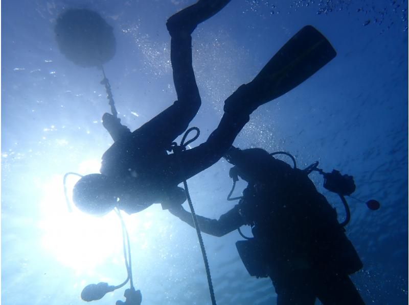 [Shizuoka, Numazu, Nishiizu, Osezaki] Beginners welcome! Experience diving. Enjoy diving in the Izu sea where many fish live. Copy underwater photo data.の紹介画像