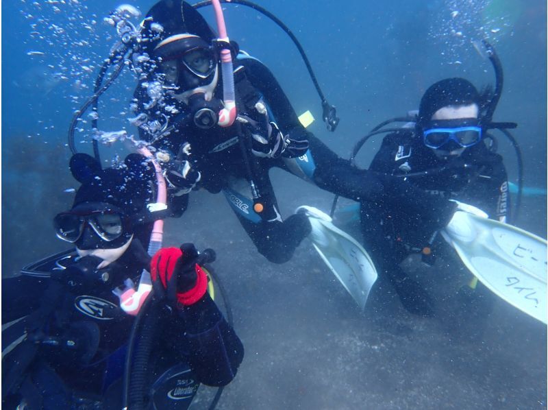 [Shizuoka, Numazu, Nishiizu, Osezaki] Beginners welcome! Experience diving. Enjoy diving in the Izu sea where many fish live. Copy underwater photo data.の紹介画像