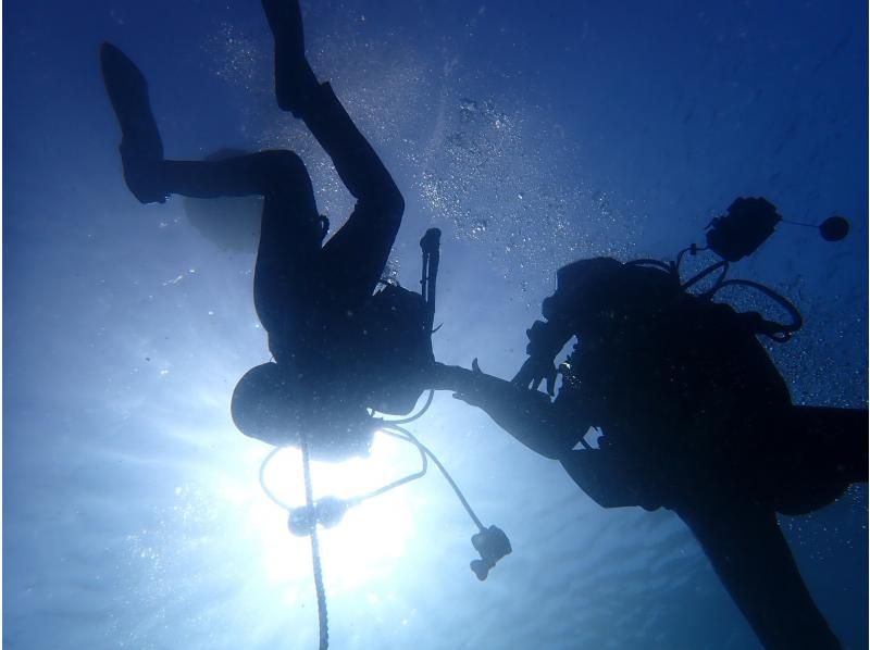 [Shizuoka, Numazu, Nishiizu, Osezaki] Beginners welcome! Experience diving. Enjoy diving in the Izu sea where many fish live. Copy underwater photo data.の紹介画像