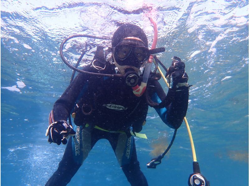 [Shizuoka, Numazu, Nishiizu, Osezaki] Beginners welcome! Experience diving. Enjoy diving in the Izu sea where many fish live. Copy underwater photo data.の紹介画像