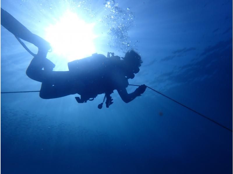 [Shizuoka, Numazu, Nishiizu, Osezaki] Beginners welcome! Experience diving. Enjoy diving in the Izu sea where many fish live. Copy underwater photo data.の紹介画像