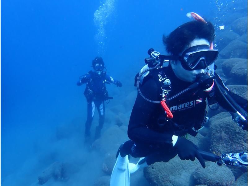 [Shizuoka, Numazu, Nishiizu, Osezaki] Beginners welcome! Experience diving. Enjoy diving in the Izu sea where many fish live. Copy underwater photo data.の紹介画像