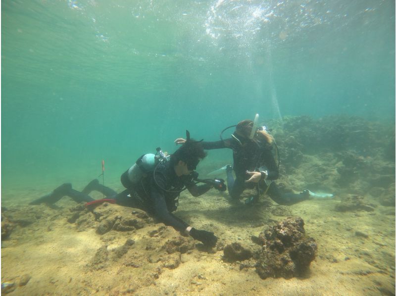 【沖縄本島】貸切クルーズ船でダイビングライセンス取得！　取得後はレンタル器材が永久無料！　器材購入も割引可能できます！の紹介画像