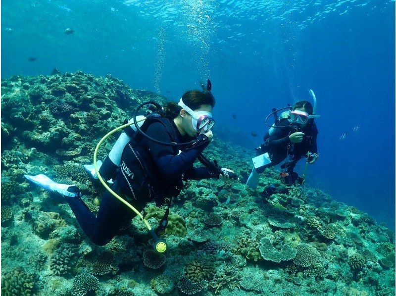 【沖縄本島】貸切クルーズ船でダイビングライセンス取得！　取得後はレンタル器材が永久無料！　器材購入も割引可能できます！の紹介画像