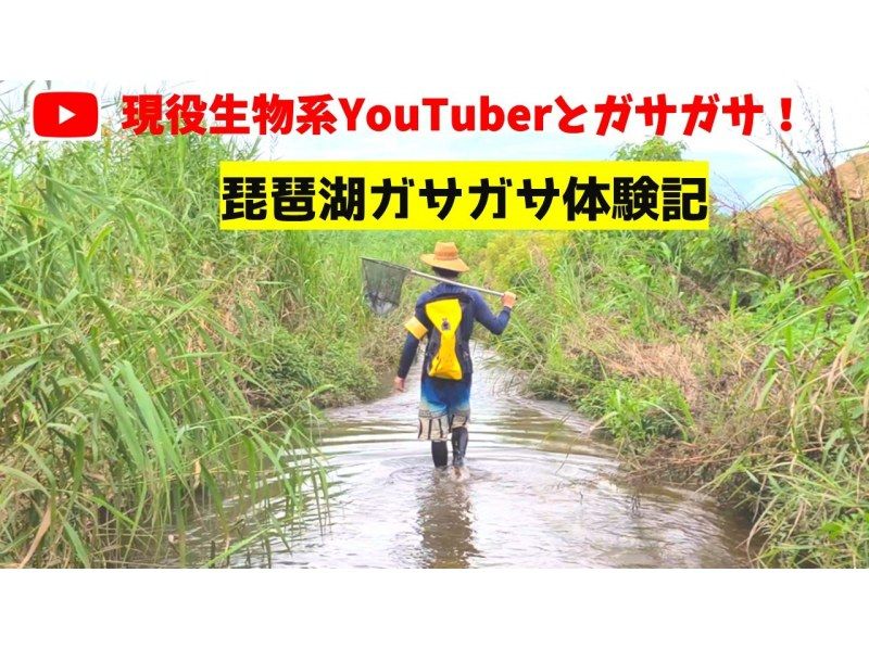 【滋賀・琵琶湖】現役生き物系YouTuberと川で魚捕りエコツアー！琵琶湖の外来種をハントしよう！の紹介画像