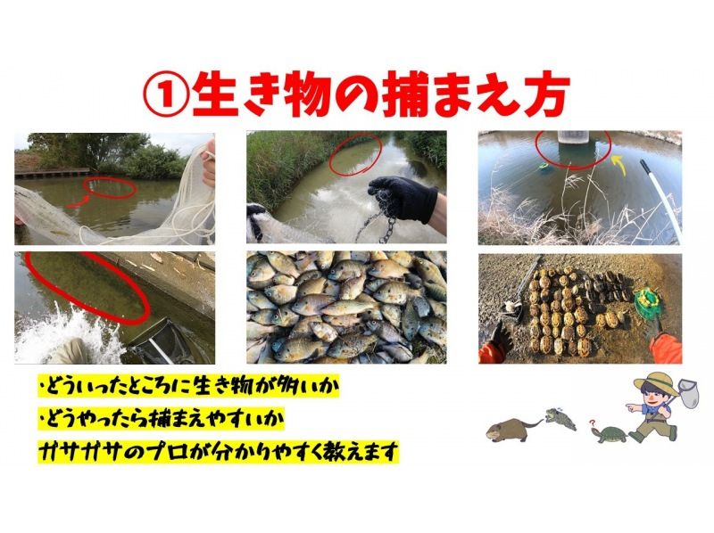 【滋賀・琵琶湖】現役生き物系YouTuberと川で魚捕りエコツアー！琵琶湖の外来種をハントしよう！の紹介画像