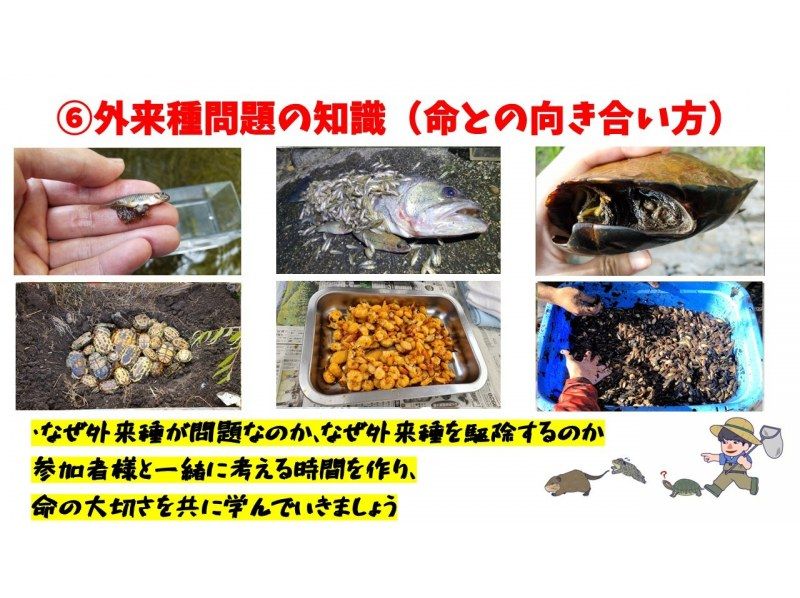 【滋賀・琵琶湖】現役生き物系YouTuberと川で魚捕りエコツアー！琵琶湖の外来種をハントしよう！の紹介画像