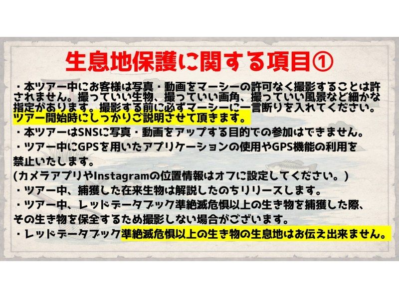 【滋賀・琵琶湖】現役生き物系YouTuberと川で魚捕りエコツアー！琵琶湖の外来種をハントしよう！の紹介画像