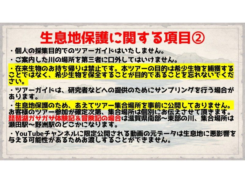 【滋賀・琵琶湖】現役生き物系YouTuberと川で魚捕りエコツアー！琵琶湖の外来種をハントしよう！の紹介画像