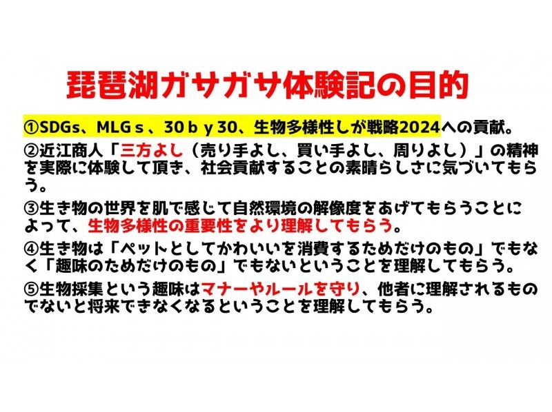 【滋賀・琵琶湖】現役生き物系YouTuberと川で魚捕りエコツアー！琵琶湖の外来種をハントしよう！の紹介画像