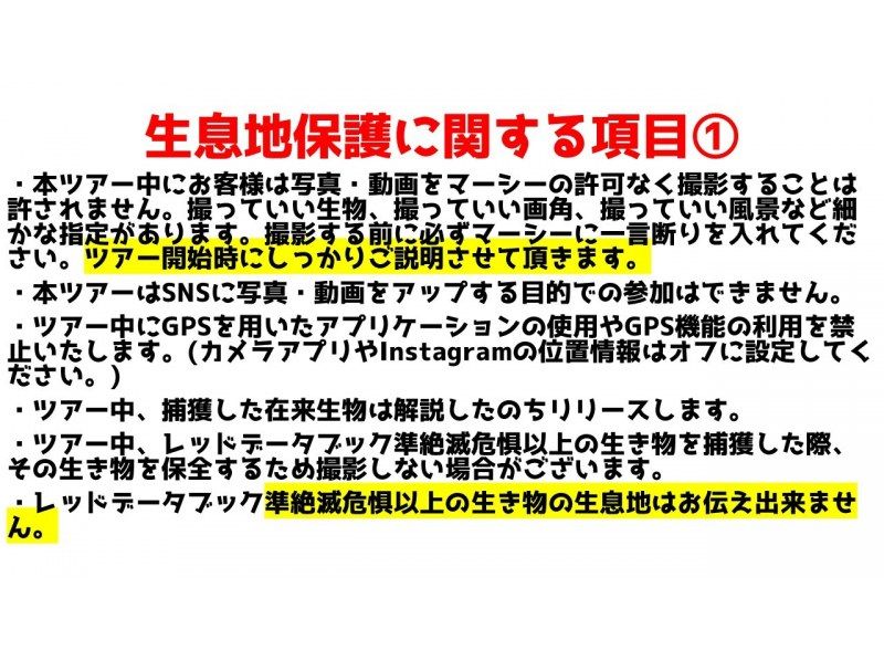 【滋賀・琵琶湖】現役生き物系YouTuberと川で魚捕りエコツアー！琵琶湖の外来種をハントしよう！の紹介画像