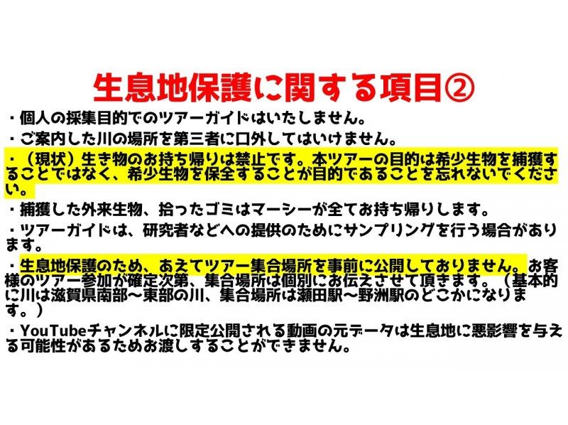 【滋賀・琵琶湖】現役生き物系YouTuberと川で魚捕りエコツアー！琵琶湖の外来種をハントしよう！の紹介画像
