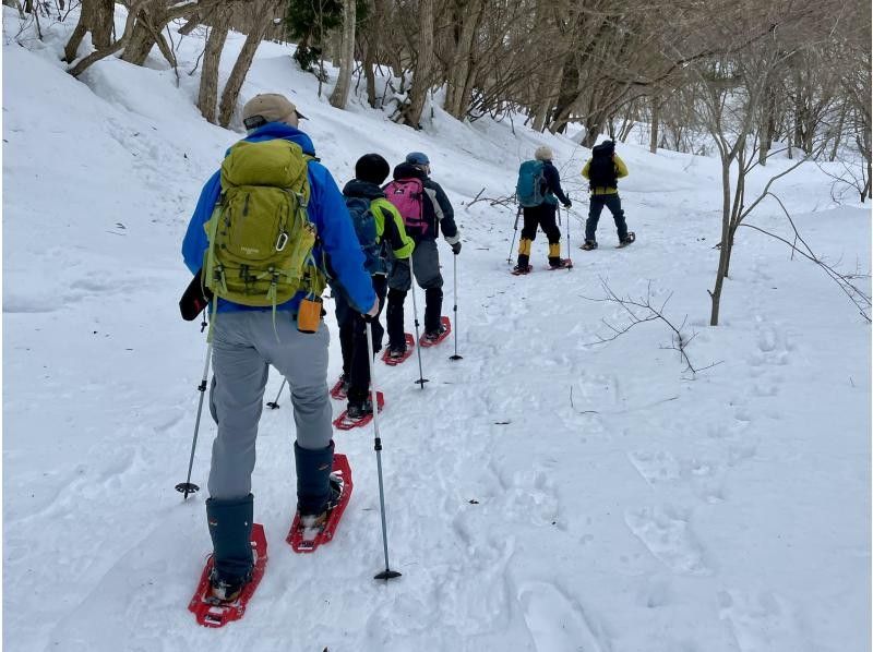 【福島・飯坂温泉】廃トンネルへ氷のタケノコを見に行くスノーハイクの紹介画像