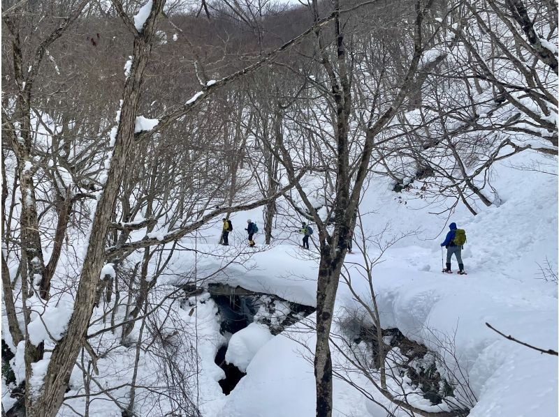 【福島・飯坂温泉】廃トンネルへ氷のタケノコを見に行くスノーハイクの紹介画像