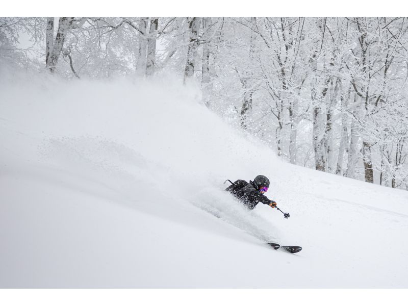 【秋田バックカントリー】初級コース！！バックカントリーツアーの紹介画像