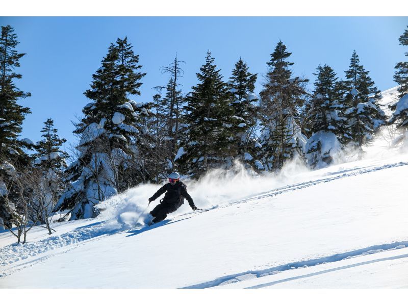 【秋田バックカントリー】初級コース！！バックカントリーツアーの紹介画像
