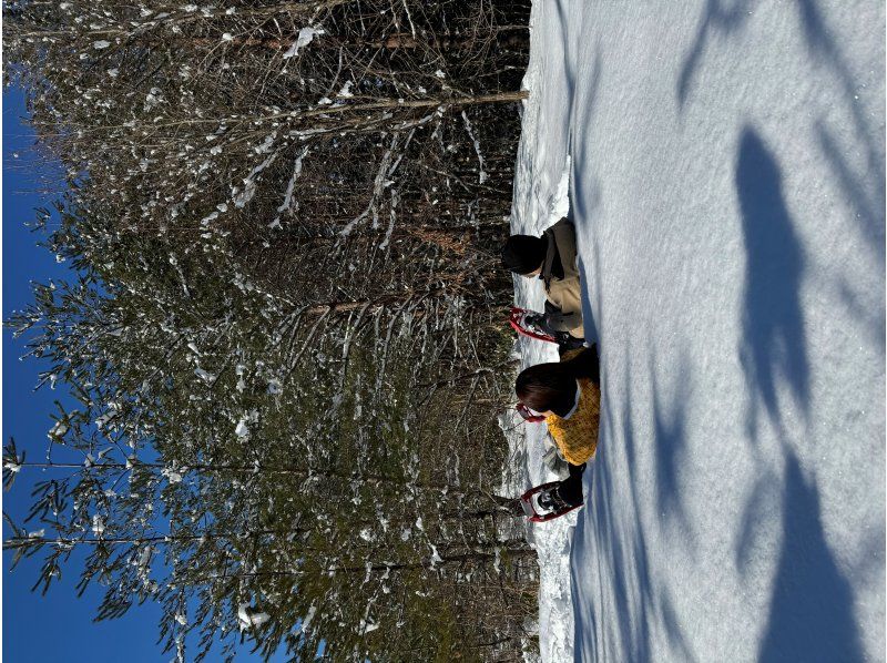 【秋田・田沢湖・スノートレッキング】《TAZAWAKO WINTER BASE》雪の森探検トレッキングツアー&スノーギアレンタル&スモア作りの紹介画像