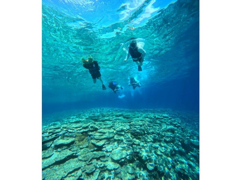 【沖繩縣伊良部島】藍洞&珊瑚礁雙人浮潛+玻璃底船海底巡遊♪（藍洞浮潛現特價！）の紹介画像