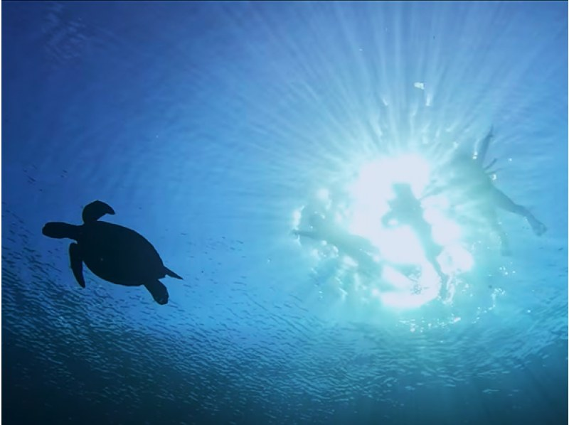 【沖繩縣伊良部島】藍洞&珊瑚礁雙人浮潛+玻璃底船海底巡遊♪（藍洞浮潛現特價！）の紹介画像