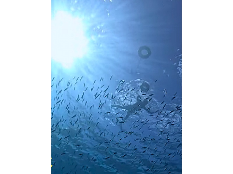 【沖繩縣伊良部島】藍洞&珊瑚礁雙人浮潛+玻璃底船海底巡遊♪（藍洞浮潛現特價！）の紹介画像