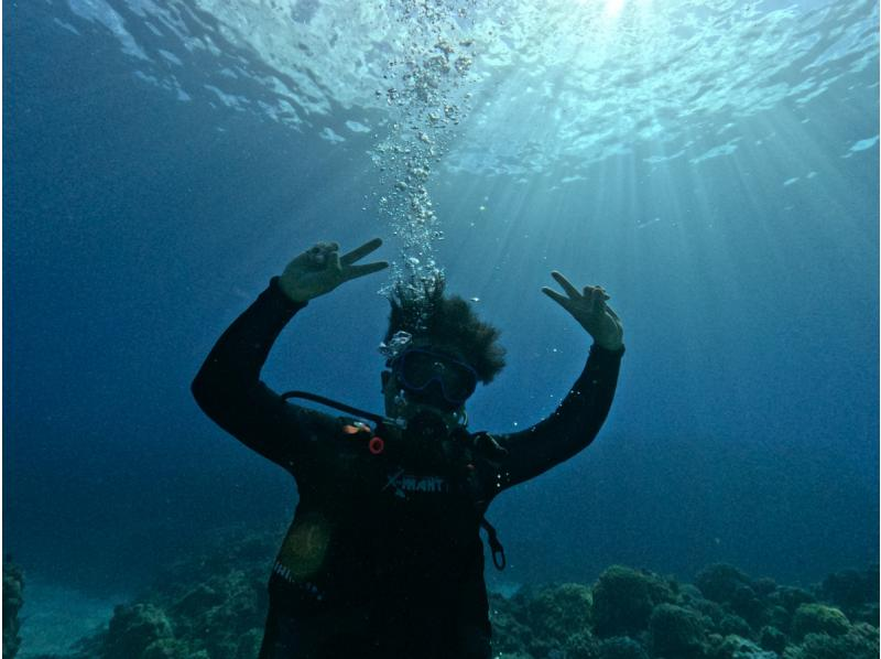 【那覇発・慶良間諸島・送迎可】半日で気軽に参加できる！体験ダイビング１回コース＜初心者・お1人様も大歓迎＞の紹介画像