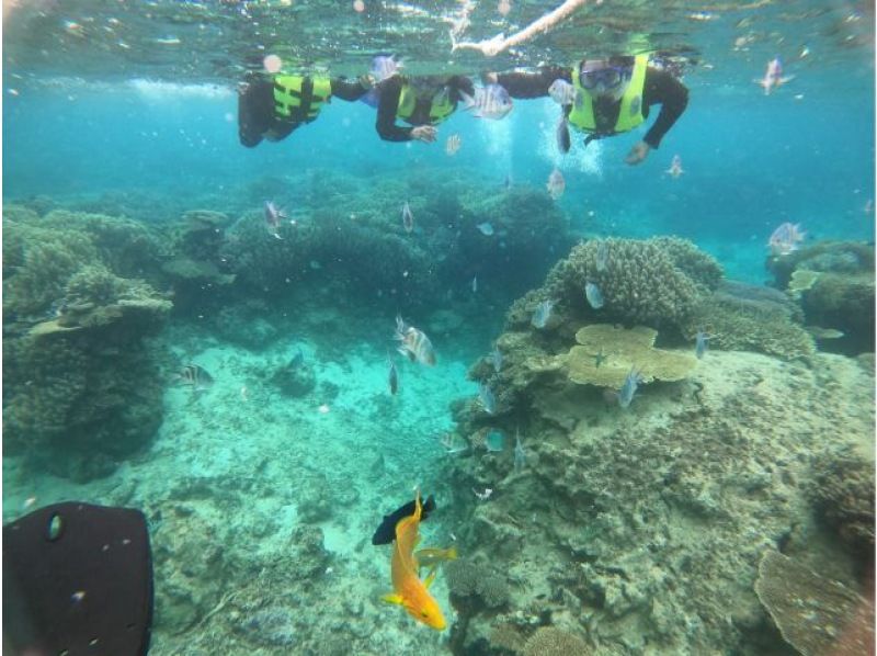 午後3時スタート！貸切ボートで行く完全貸切シュノーケリングツアー【写真・動画・ウェットスーツ無料！】の紹介画像