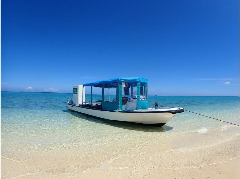 【石垣島発/水面マンタシーズン到来！/12~3月限定/シュノーケル/3.5時間】冬の海に舞う巨大マンタ！動画写真データ無料プレゼントの紹介画像