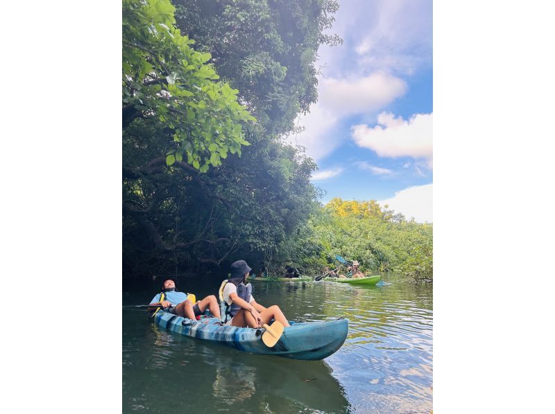 【沖縄・石垣島】”プチツアー” カヤックとトレッキングでゆく熱帯ジャングル大冒険！の紹介画像