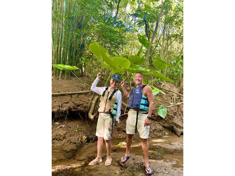 【沖縄・石垣島】”プチツアー” カヤックとトレッキングでゆく熱帯ジャングル大冒険！の紹介画像