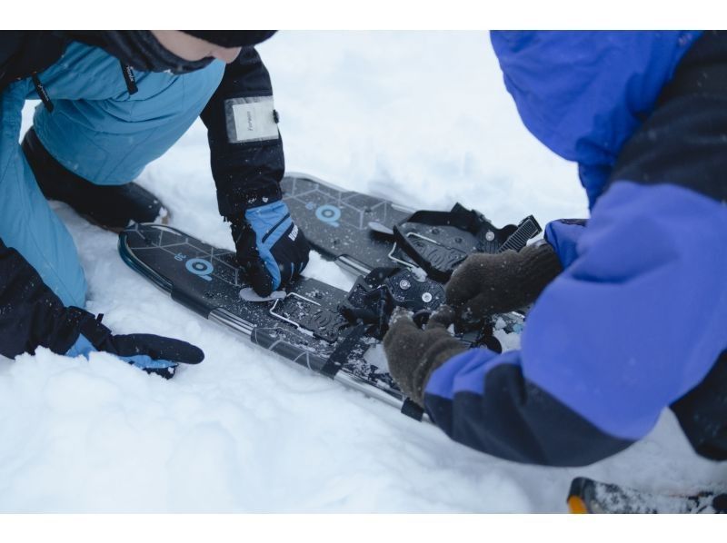 【北海道・富良野】スノーランタンおでんナイト／農業体験型イブニングツアー、ナイトハイクで掘出しに行く越冬キャベツと体温まるおでんナイトツアーの紹介画像