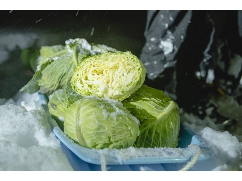 【北海道・富良野】スノーランタンおでんナイト／農業体験型イブニングツアー、ナイトハイクで掘出しに行く越冬キャベツと体温まるおでんナイトツアーの紹介画像