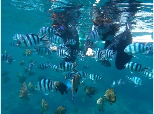 【沖縄・青の洞窟】ビーチ青の洞窟シュノーケル☆超得!シャワー代・駐車場料金・施設利用料無料!GoPro写真無料プレゼント☆初心者の方も安心♬ 【沖縄・青の洞窟】ビーチ青の洞窟シュノーケル☆超得!シャワー代・駐車場料金・施設利用料無料!GoPro写真無料プレゼント☆初心者の方も安心♬